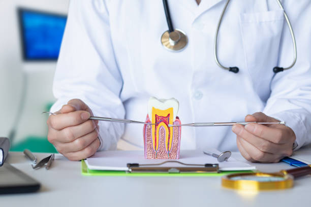 Best Emergency Treatment for Oral Infections in Factoryville, PA